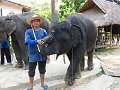 Chiang Mai P0108 Maetaman Elephant Camp